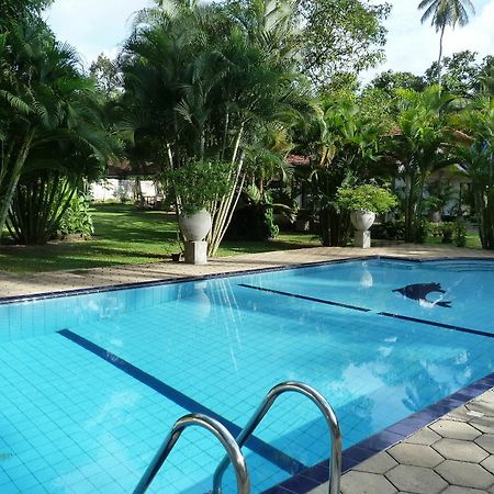 Hotel Fire Dragon Hideaway à Negombo Extérieur photo