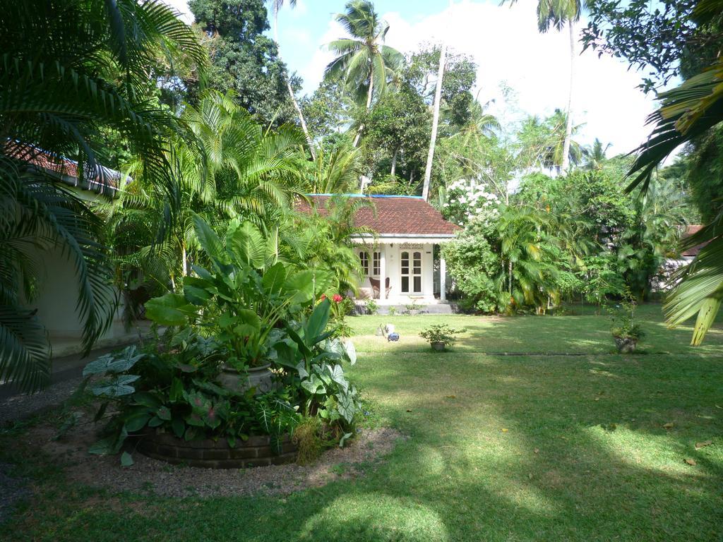 Hotel Fire Dragon Hideaway à Negombo Extérieur photo