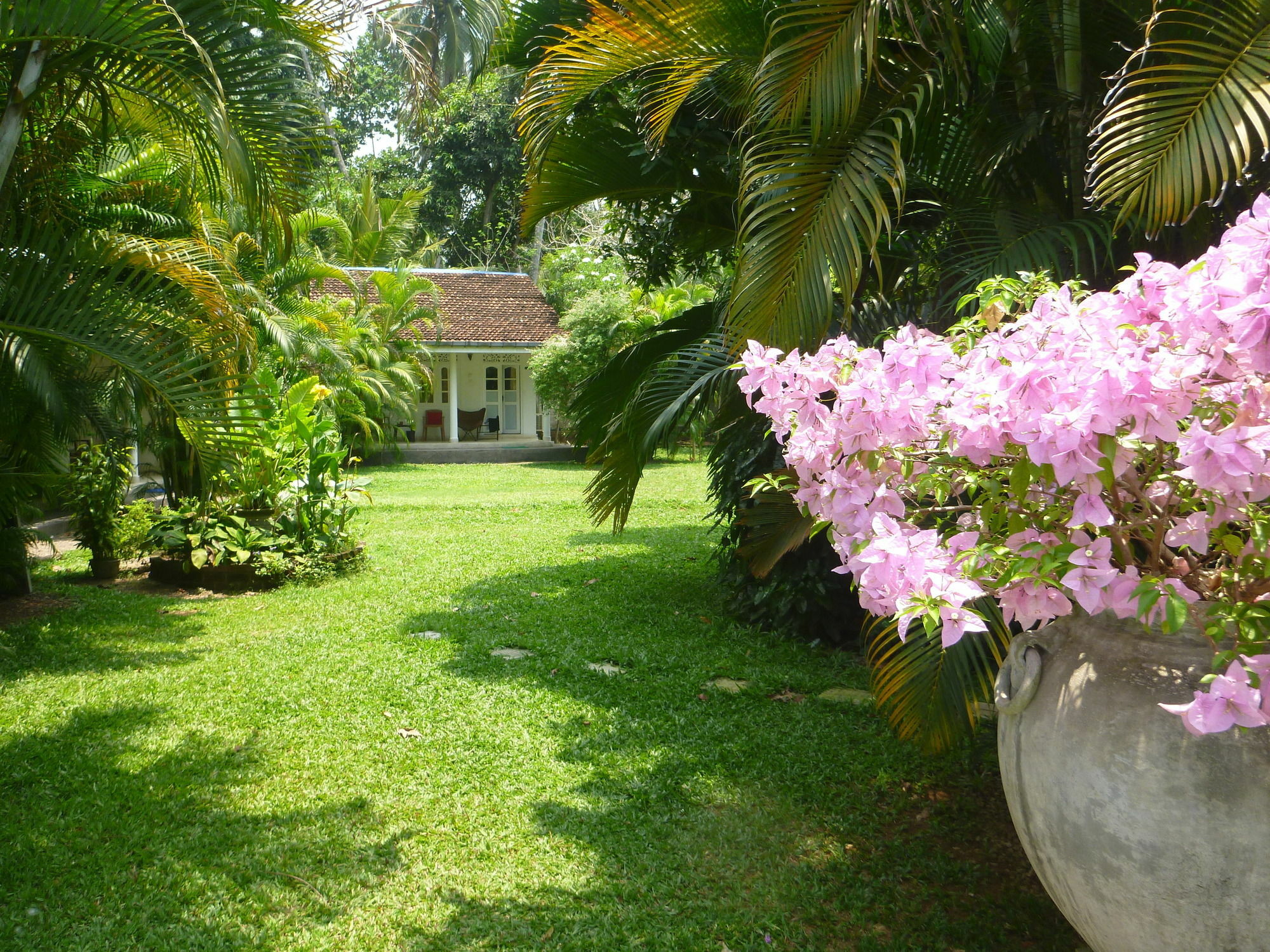 Hotel Fire Dragon Hideaway à Negombo Extérieur photo